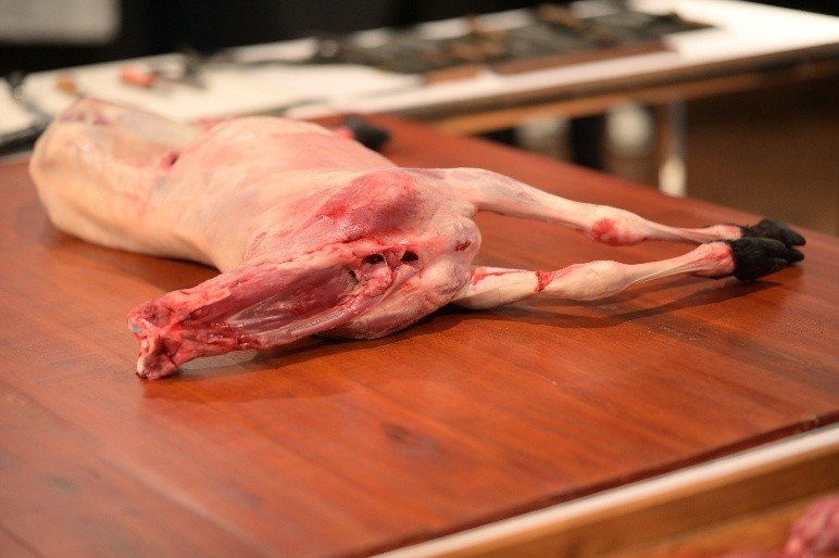 Whole goat carcass on a wooden butchery table
